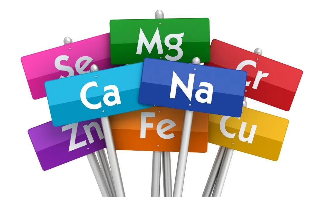 Mineralstoffe: Bedeutung für unsere Vitalität und Energie