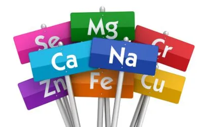 Mineralstoffe: Bedeutung für unsere Vitalität und Energie