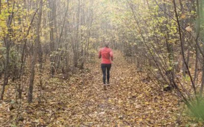 Lauftraining Tipps – Know-how für Anfänger und Profis