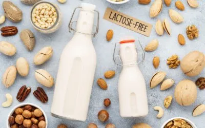 Die Power pflanzlicher Alternativen – Fitter mit Milchersatzprodukten