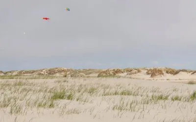Rømø im Winter – Wind auf meiner Haut