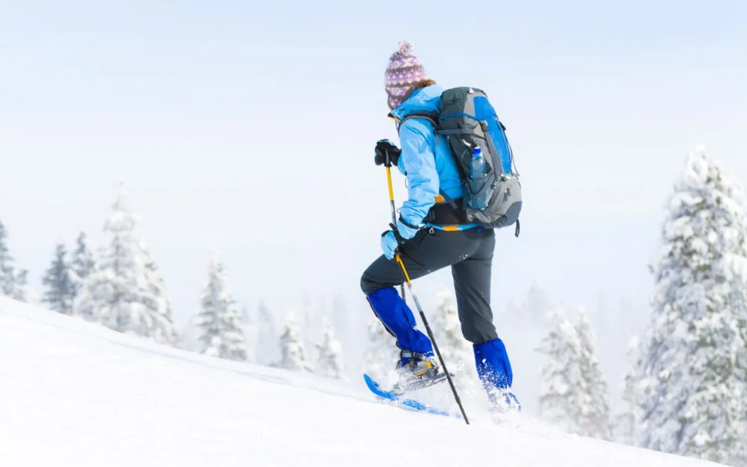 Ski Alternativen