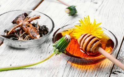 Löwenzahnhonig mit Curcuma – Gesundheit aufs Brot!