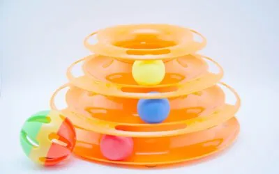 Intelligenzspielzeug hält Ihre Katze geistig fit und rege